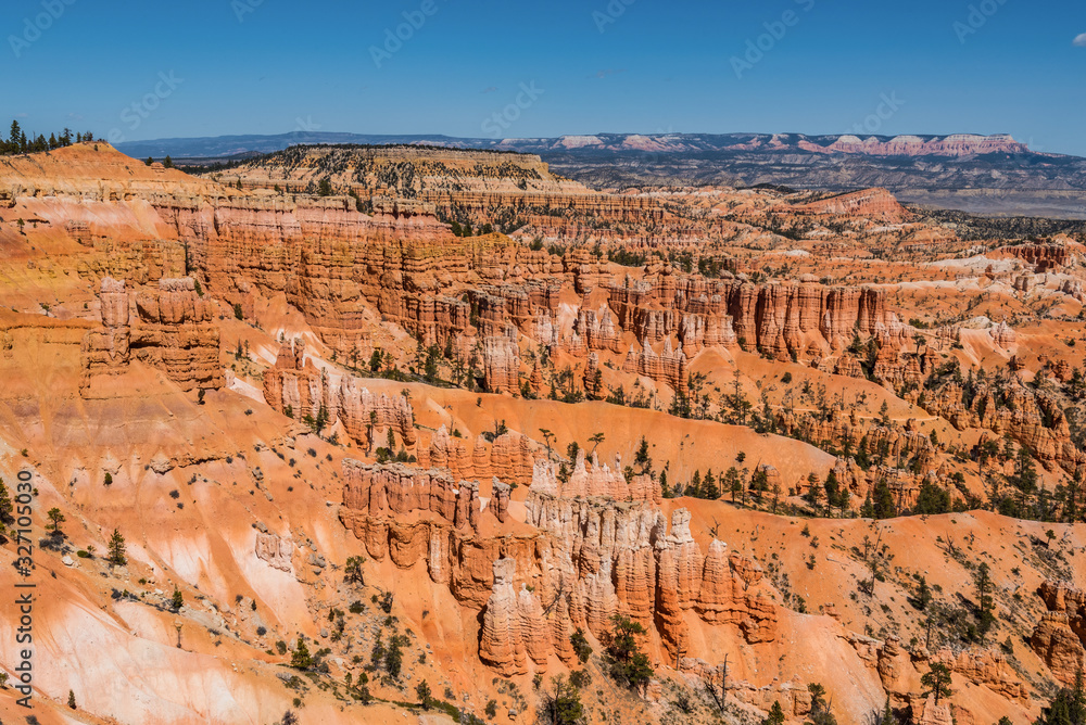 Magnificent view of crimson-colored hoodoos at Bryce Canyon National Park Utah United States