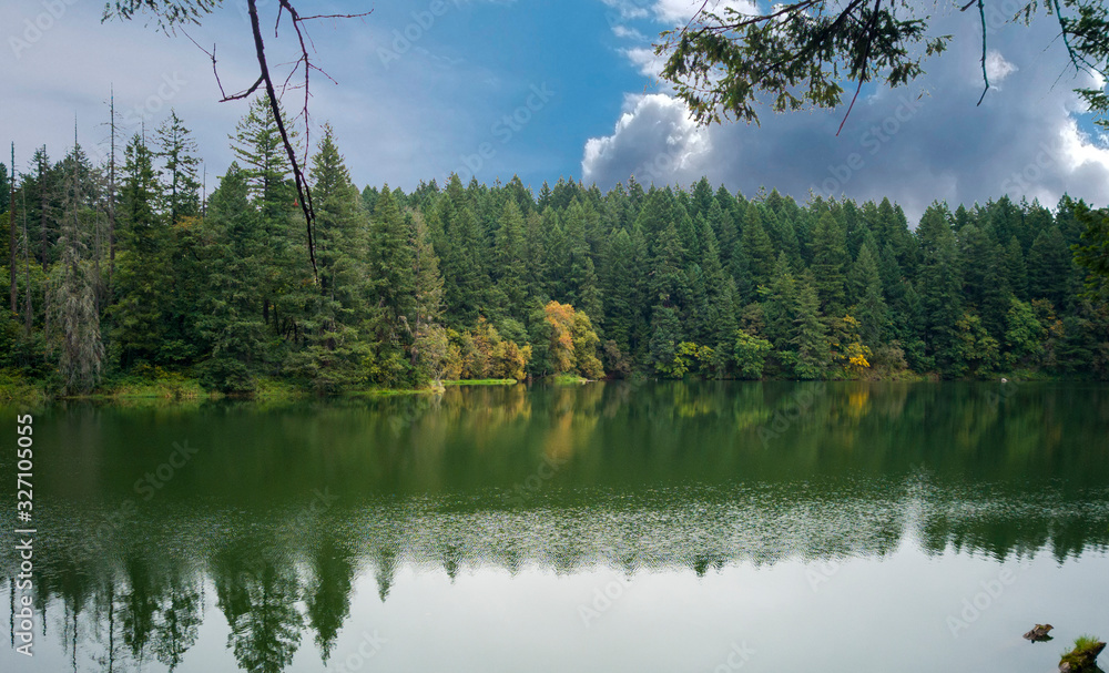 Sunny Round Lake with the surrounding vibrant forest reflecting in the partly cloudy  summer day in Camas Washington