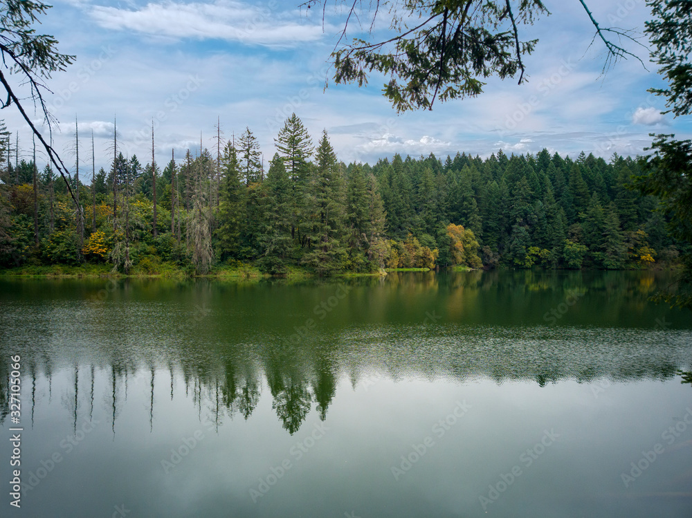 Obraz premium Sunny Round Lake with the surrounding vibrant forest reflecting in the partly cloudy summer day in Camas Washington
