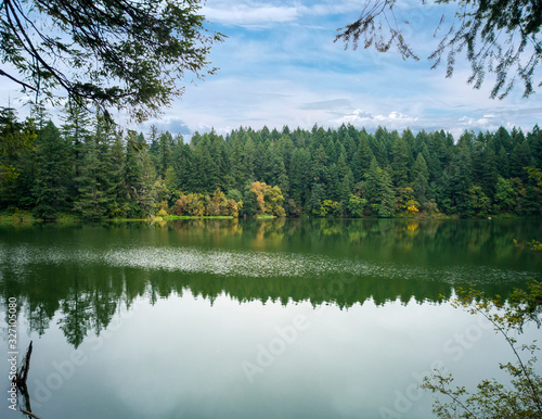 Fototapeta Naklejka Na Ścianę i Meble -  Sunny Round Lake with the surrounding vibrant forest reflecting in the partly cloudy  summer day in Camas Washington