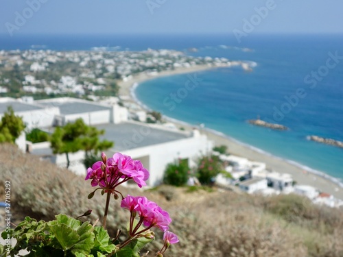 Fototapeta Naklejka Na Ścianę i Meble -  Skyros Greece coastline beach pink flower