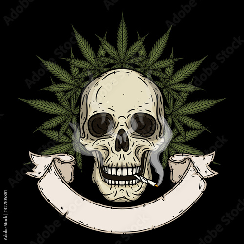 Skull. Skull with marijuana leaves. Rastaman skull with cannabis leafs and joint.