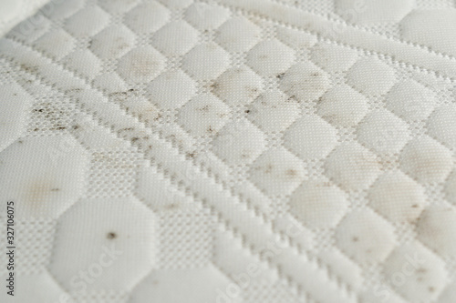 Mold and dirt on a bed. Mattress with spots of mildew spores.