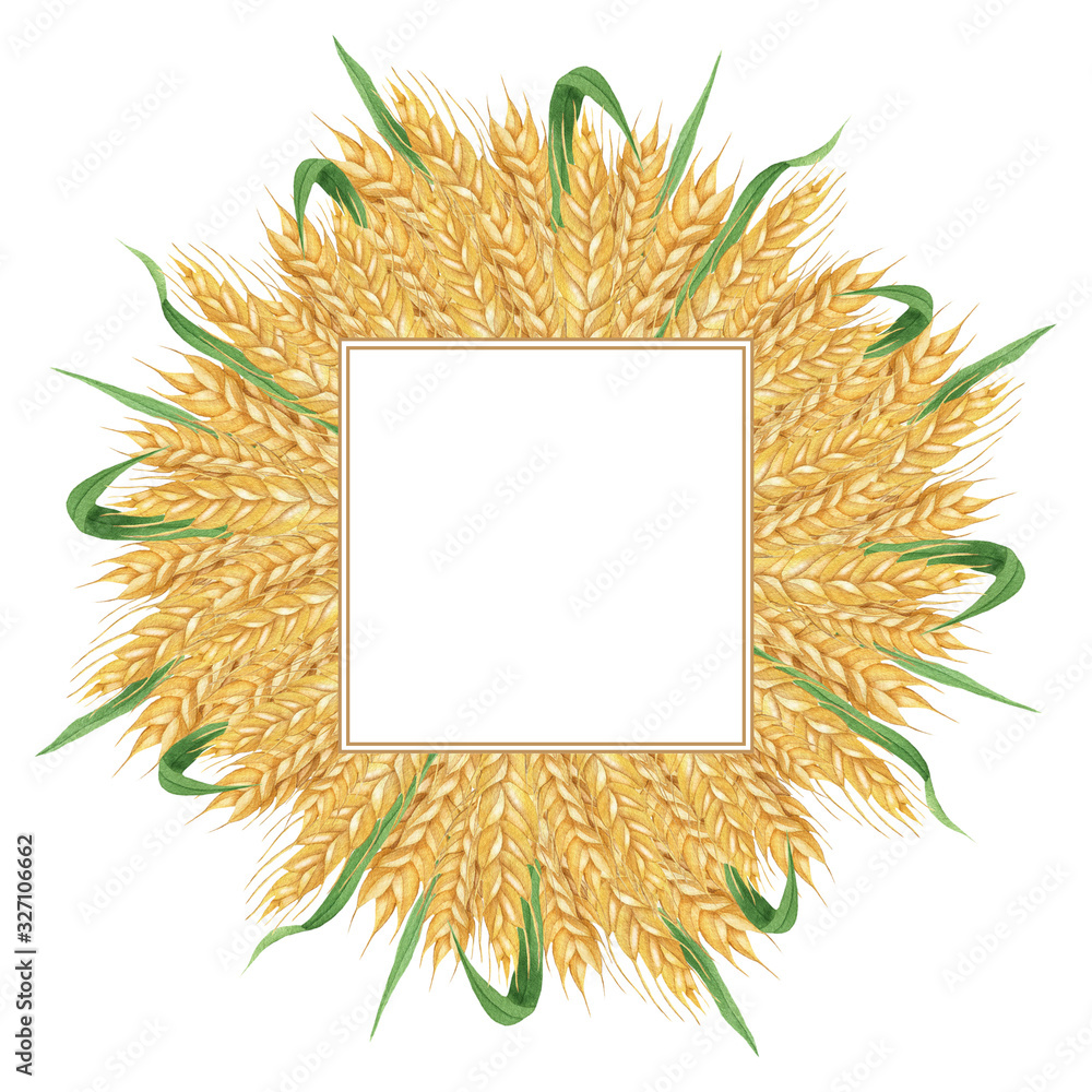 Square frame of wheat Square frame of wheat