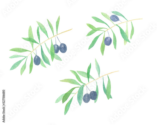 Olives and leaves set isolated on white background. Watercolor hand drawn olives branches with green leaves. italian cuisine. Mediterranean food. Perfect for wedding invitation, card, pattern, design.