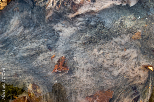 Photos on the water from a hot spring