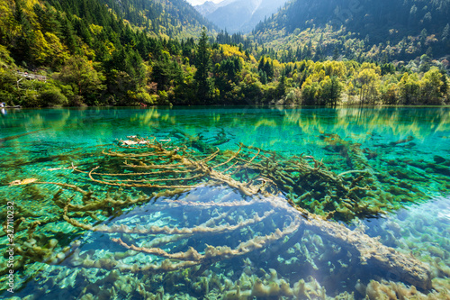 Travel in China. Early morning at jiuzhaigou scenic spot, sichuan province, China. photo