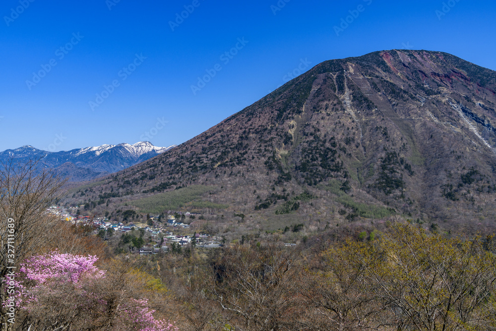 アカヤシオと男体山