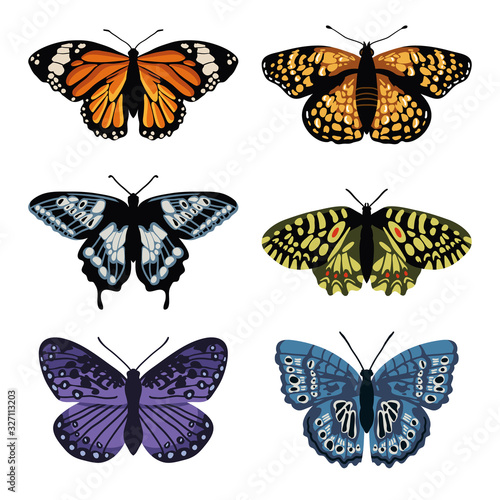 Vector set with isolated butterflies. Hand drawn design
