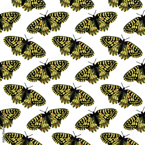 Vector seamless pattern with bright butterflies. Hand drawn texture design