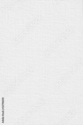 Canvas for paintings and pictures primed with white paint or soil. White clean empty canvas for painting.