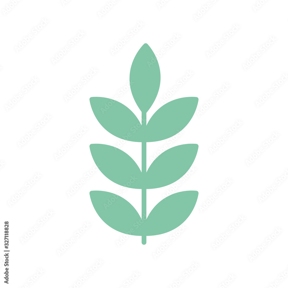 Fototapeta premium Isolated natural leaves flat style icon vector design