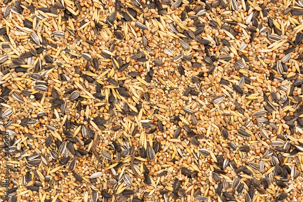 Mixed bird seeds seen directly from above covering the full frame Mixed bird seeds seen directly from above covering the full frame
