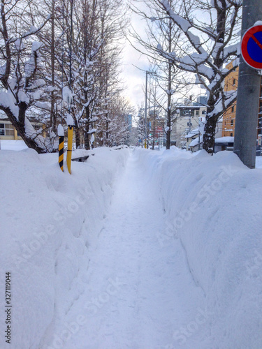 雪の道（昼）