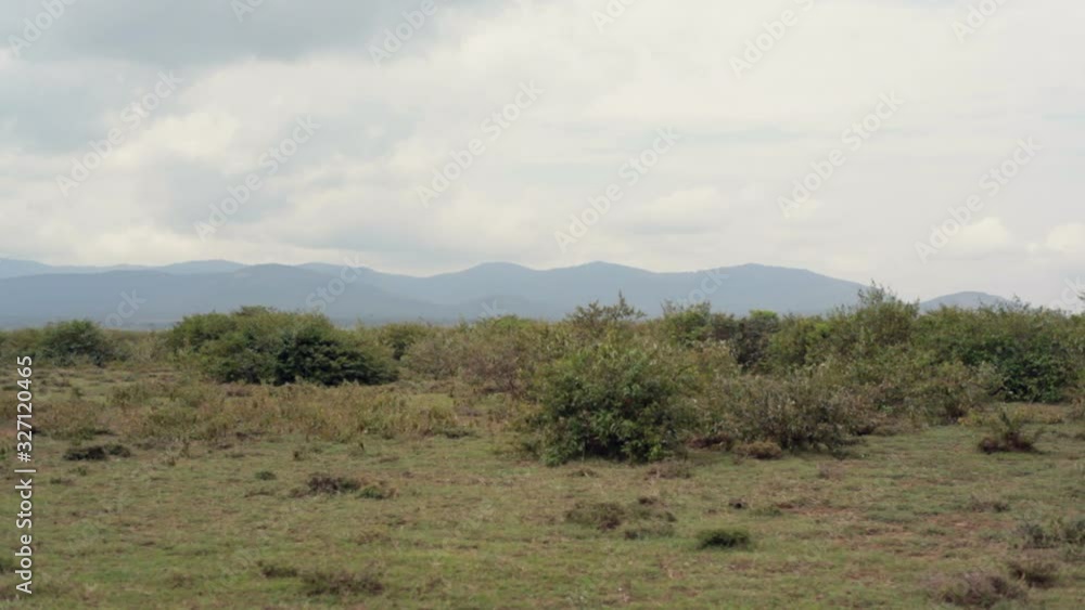 Empty savannah, mountains in horizon, Samburu, Kenya, Africa, pan left Empty savannah, mountains in horizon, Samburu, Kenya, Africa, pan left