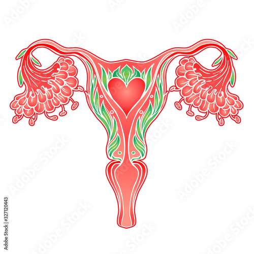 Decorative drawing of female reproductive system with flowers. Hand drawn uterus, womb. Girl power, feminism, female nature. Vector illustration isolated on white.