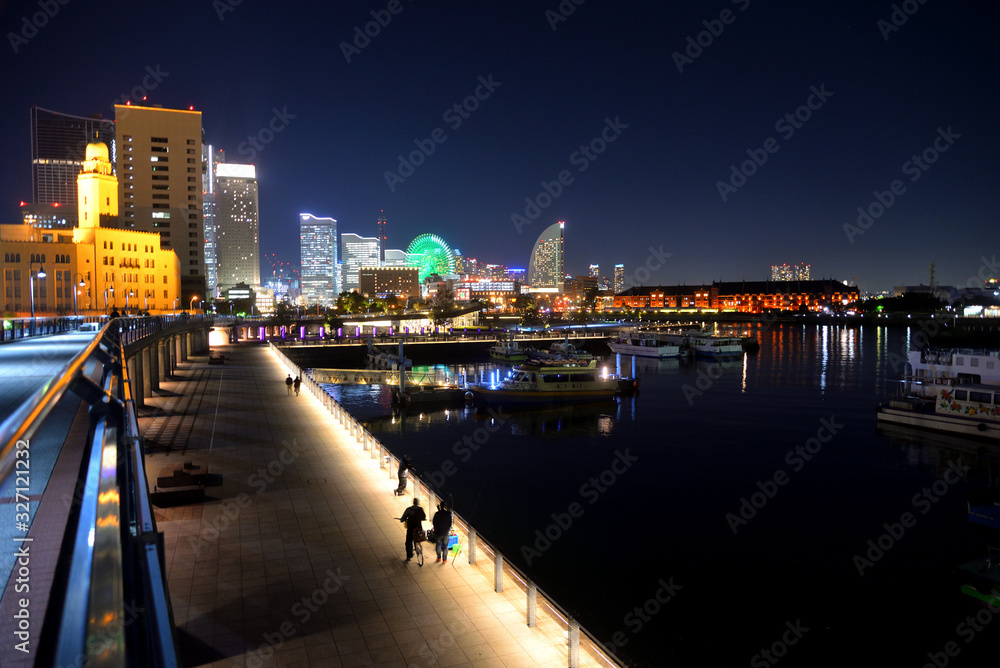 Fototapeta premium 象の鼻パークとみなとみらい夜景