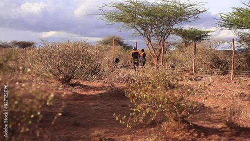 Men build a barbed wire fence for security, Africa, rural Kenya, long shot