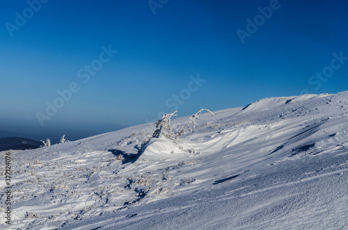 Fototapeta Naklejka Na Ścianę i Meble -  zima na połoninie Wetlińskiej Bieszczady 