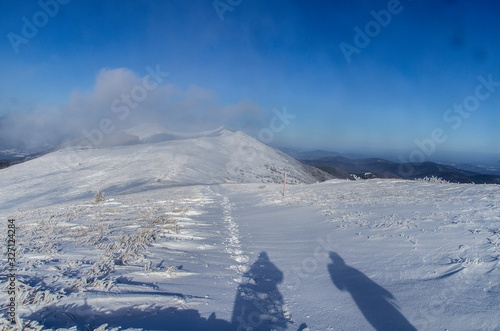 Fototapeta Naklejka Na Ścianę i Meble -  panorama z połoniny Wetlińskiej Bieszczady