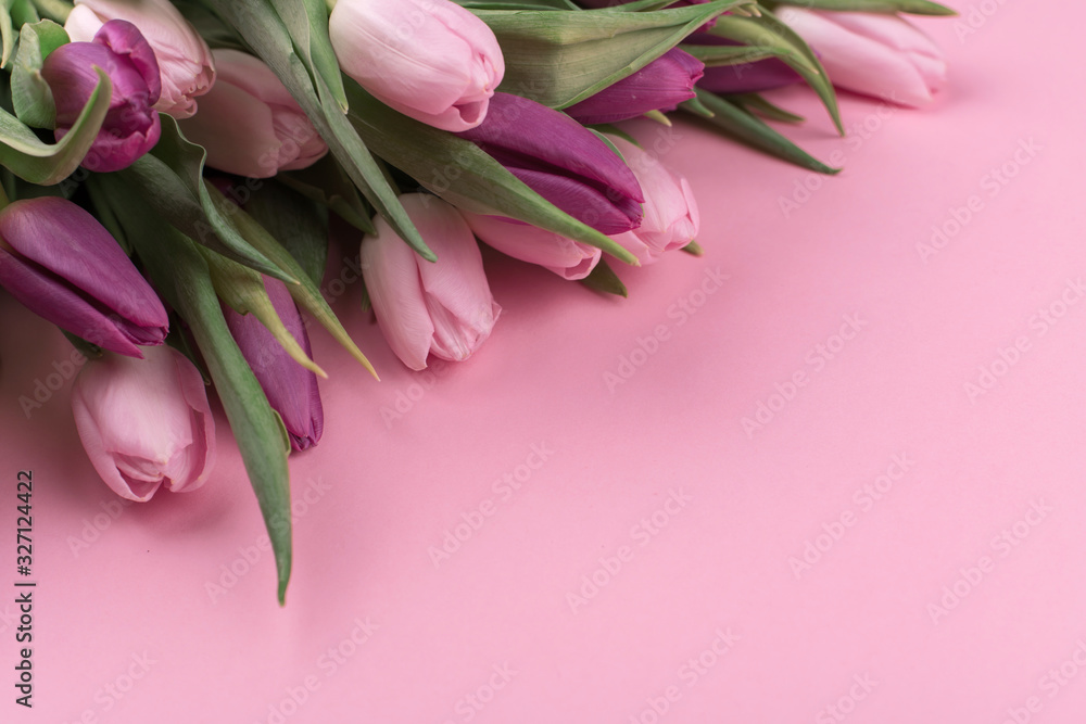 a bouquet of fresh fragrant pink tulips and a gift for women's day on a pink background. Mother's day greetings a bouquet of fresh fragrant pink tulips and a gift for women's day on a pink background. Mother's day greetings