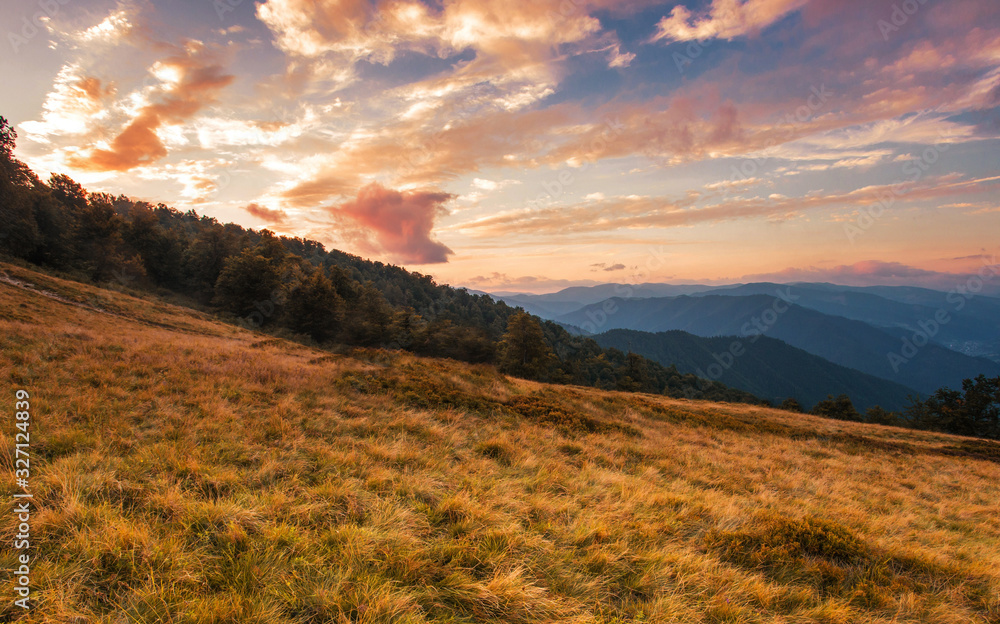 colorful summer sunrise image, picturesque morning dawn view on meadow on the hill of mountain, dramatic dawn sky, Ukraine, Carpathian mountains	