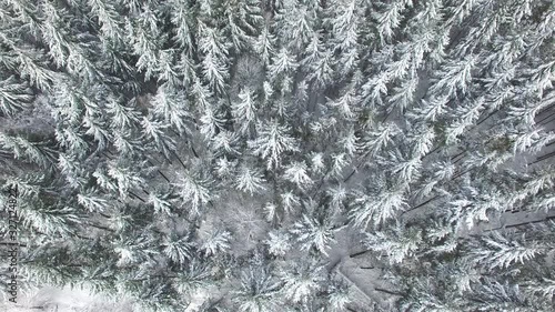 Winterwald von oben