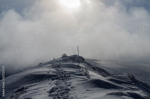 Ośnieżone krzewy na połoninie Wetlińskiej Bieszczady