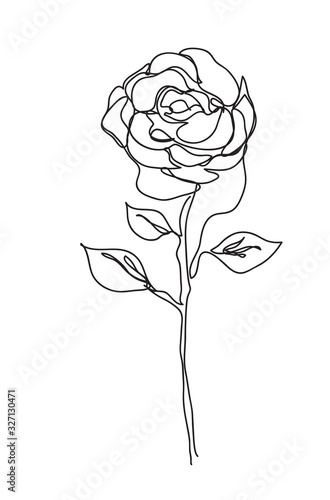 rose Flower  ,line drawing style,  art design