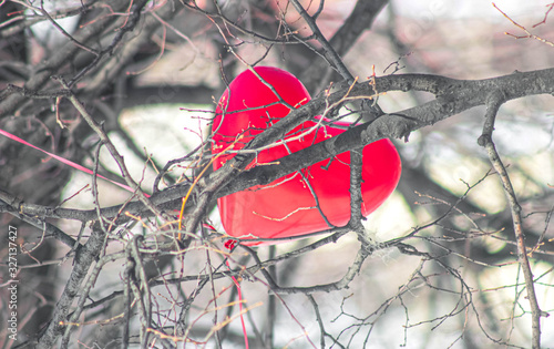 A red balloon in the shape of a heart got tangled in the branches of a tree.