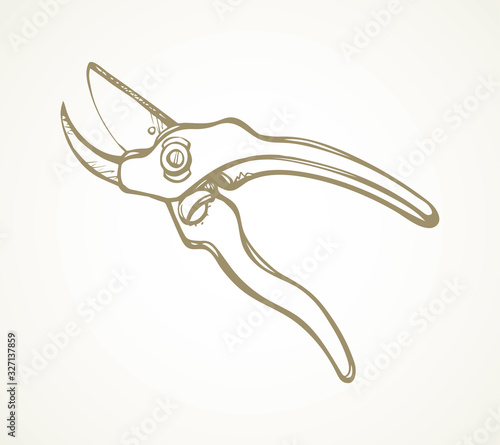 Vector drawing. Pruner