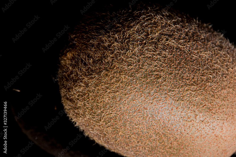 Sharp brown kiwi fruit textured skin close up still on a black background Sharp brown kiwi fruit textured skin close up still on a black background