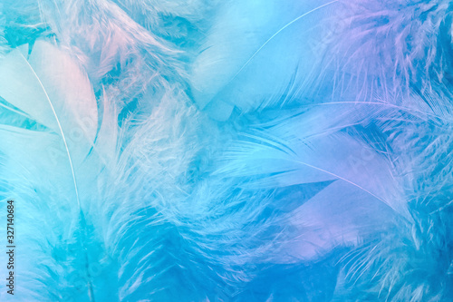 Abstract trend blue rainbow feather background. Closeup of colorful pastel neon fluffy feathers, fashion soft color of spring and summer. Soft selective focus.