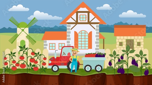 Farmer man standing near truck filled harvest of vegetables cartoon vector illustration. Garden beds with eggplants and tomatoes. Farmhouse, barn, mill, rural landscape background.