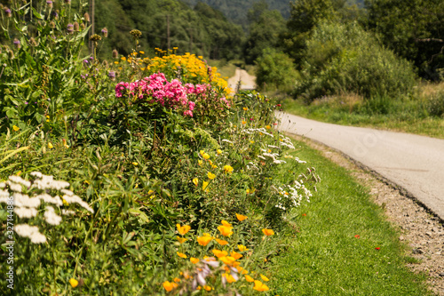 Countryside