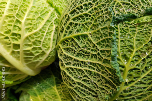 Selective focus. Fresh curly green cabbage background, vegetable texture Healthy vegetarian food. Veg concept