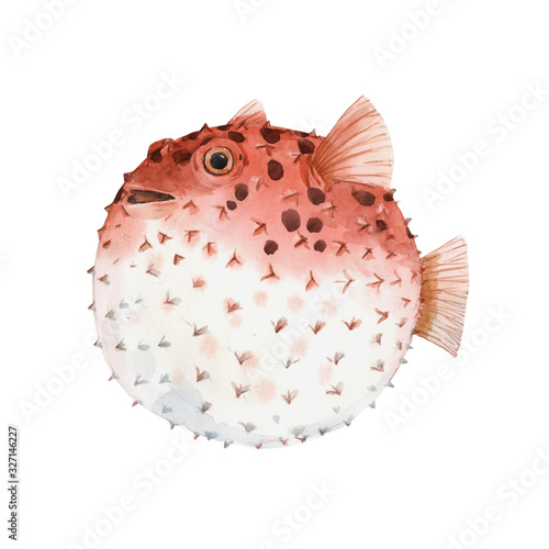 Beautiful artwork with very cute watercolor hedgehog fish. Stock illustration. Sea life.