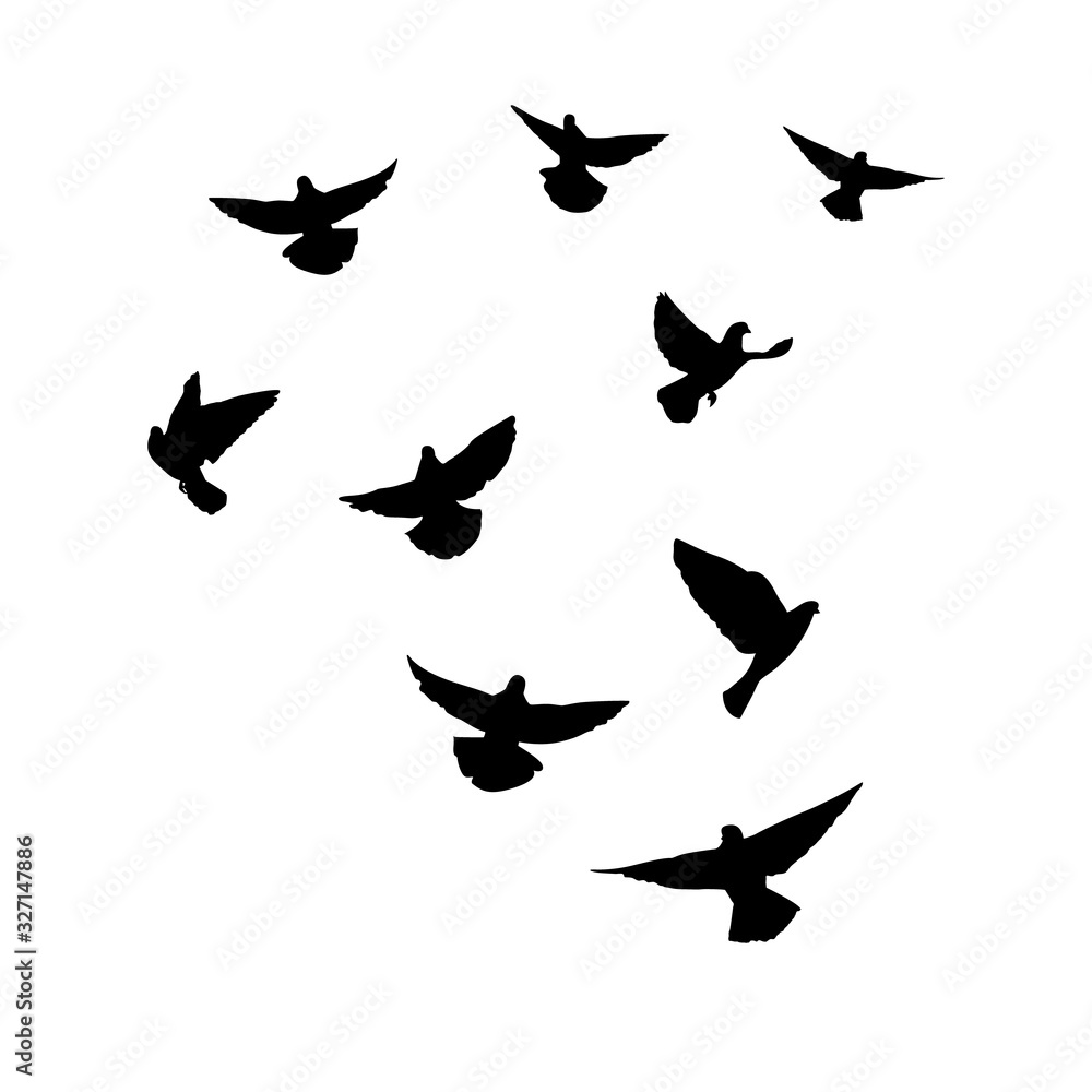 Obraz premium Doves are flying. Silhouette of pigeons that fly on a white background. Vector illustration