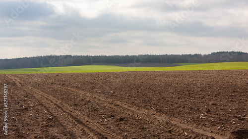 Spring landscape. A dark plowed field and a field with verdant shoots, last year's stack and forest on the horizon, and the sky with gray-blue clouds.