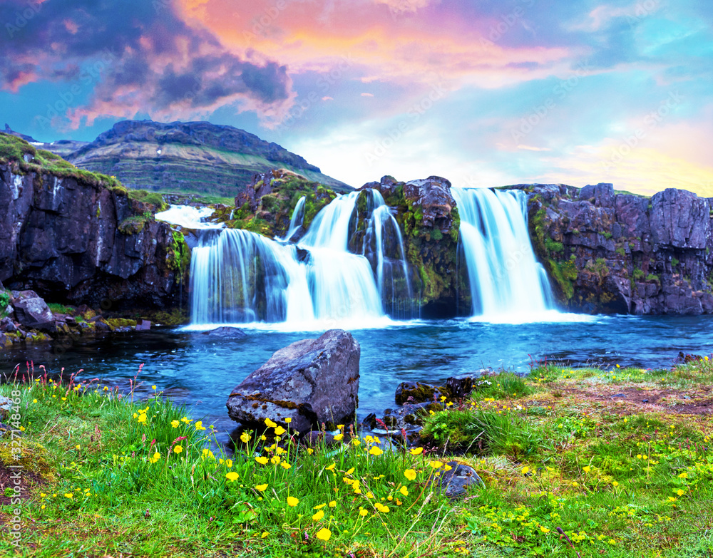 Beautiful terrific landscape with yellow flowers and big stone near waterfall Kirkjufell in Iceland at sunset. Exotic countries. Amazing places. Popular tourist atraction.