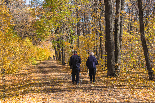 Nordic walking in the autumn sunny park © stsvirkun