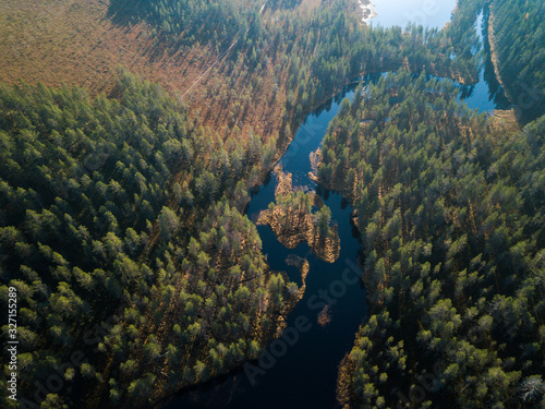 Aerial view of river in boggy forest landscape