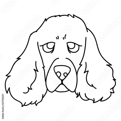 Cute cartoon monochrome lineart puppy cocker spaniel face dog vector clipart. Pedigree kennel doggie breed for dog lovers. Purebred domestic for pet parlor illustration mascot. Isolated canine hunting
