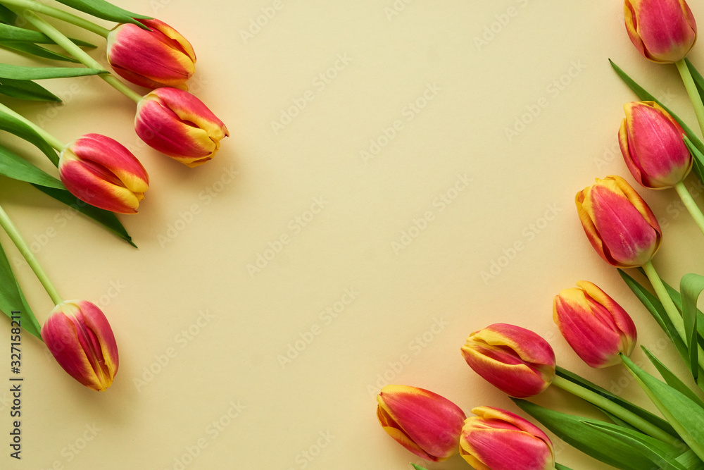 Bunches of red tulips on a light yellow background Bunches of red tulips on a light yellow background