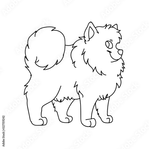 Cute cartoon monochrome lineart pomeranian dog breed vector clipart. Pedigree kennel doggie breed for dog lovers. Purebred domestic puppy for pet parlor illustration. Isolated canine fluffy spitz.