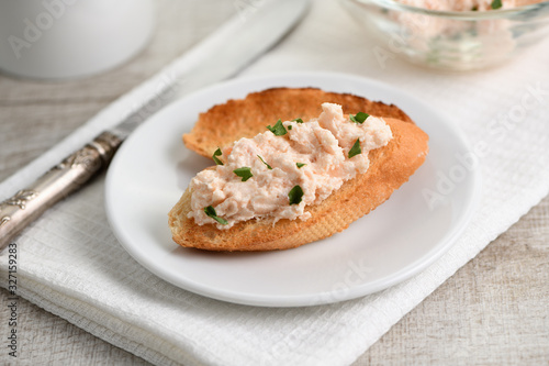Appetizer pate  salmon with soft cheese