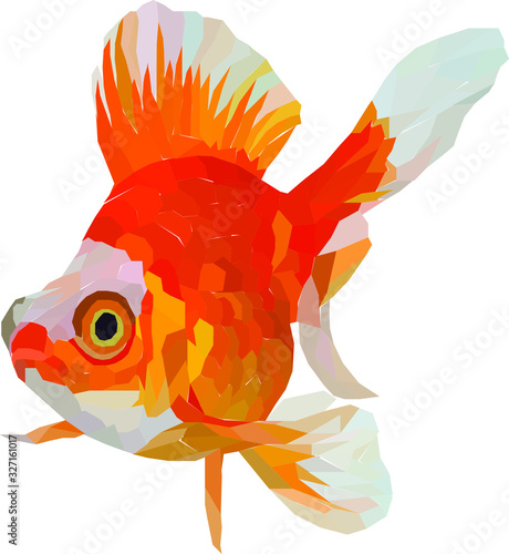 goldfish in aquarium