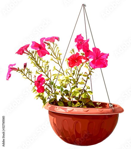 illustration of petunia flowers in a hinged pot in a realistic style , sketch vector graphic color illustration on white background