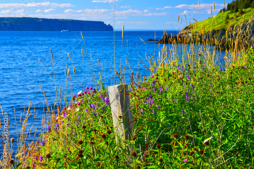 Seaside Wildflowers, Grass and a Fence Post at Portugal Cove, Avalon Peninsula, Newfoundland and Labrador, Canada. photo