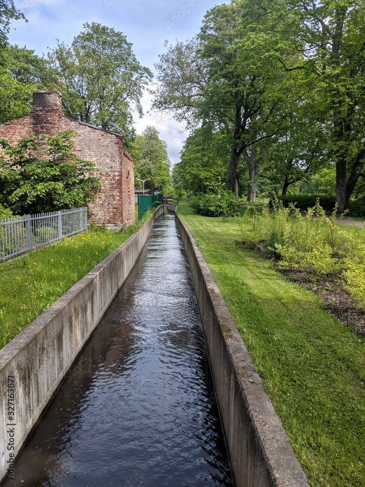 Canal through the green forest